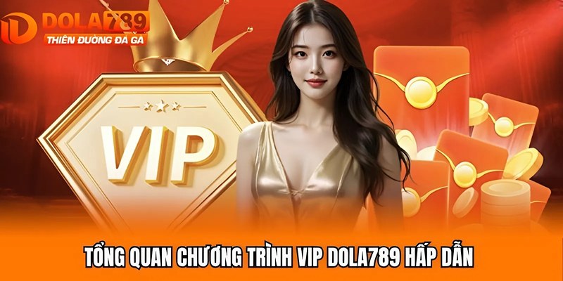 Tổng quan chương trình VIP Dola789 hấp dẫn