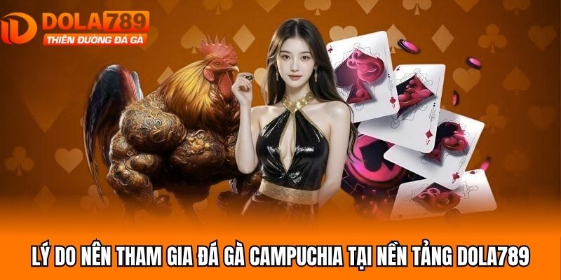 Lý do nên tham gia đá gà Campuchia tại nền tảng Dola789