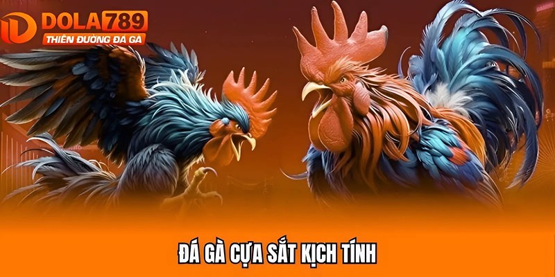 Đá gà cựa sắt kịch tính