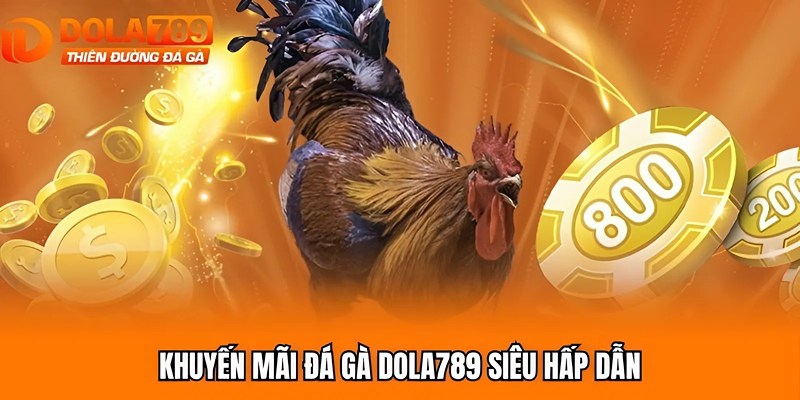 Khuyến mãi đá gà Dola789 siêu hấp dẫn
