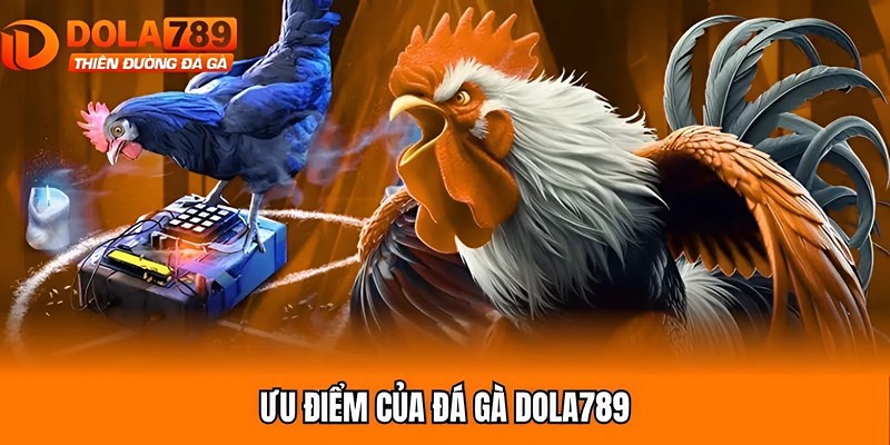 Ưu điểm của đá gà Dola789