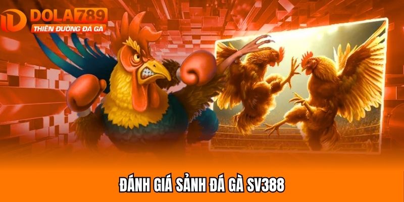 Đánh giá sảnh đá gà SV388