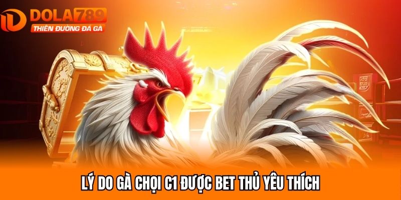 Lý do gà chọi C1 được bet thủ yêu thích