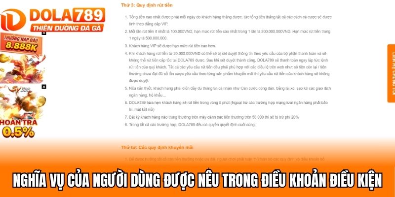 Nghĩa vụ của người dùng được nêu trong điều khoản điều kiện