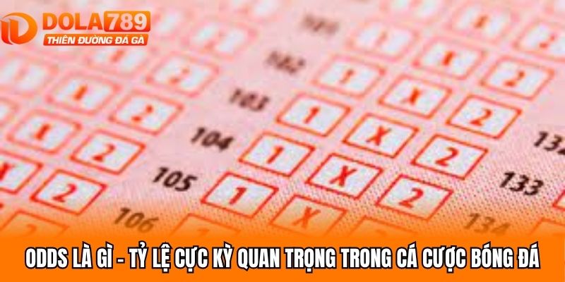 Odds Là Gì