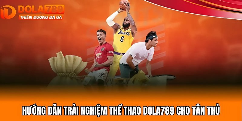 Hướng dẫn trải nghiệm thể thao Dola789 cho tân thủ