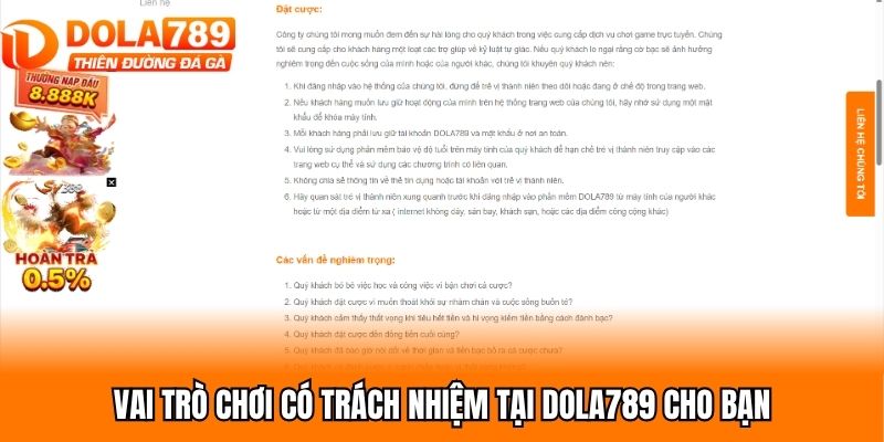 Vai trò chơi có trách nhiệm tại Dola789 cho bạn